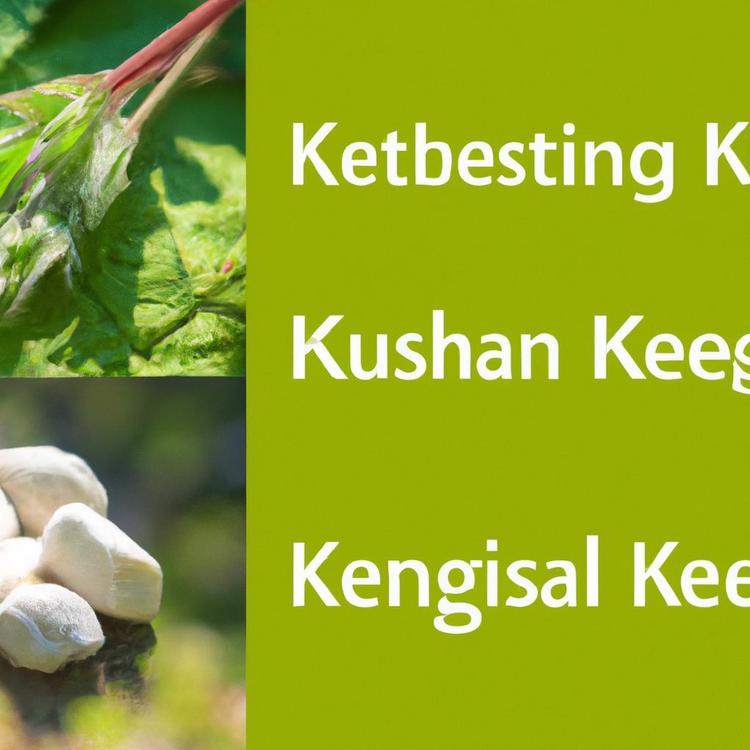 Poznaj 3 zioła na boreliozę! Czy sa skuteczne?